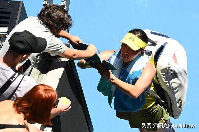 分裁判工作 分裁判工作